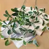 [Nuevo] Arte Floral Qi Hao 5 Ramas 15 Mallas Árbol Banyan de Rama Única Simulación Hoja Transfronterizo Decoración del Hogar Arreglo Floral Planta Verde Simulación