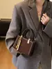 Bolso Cruzado de Moda con Estampado de Leopardo para Mujer, Nueva Moda Coreana y Japonesa, Bolso de Mano Pequeño Versátil y Sencillo