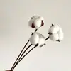 Pinha Flores Secas Artesanais Adereços de Fotografia Materiais Florais DIY Decorações para Sala de Estar Presentes de Natal