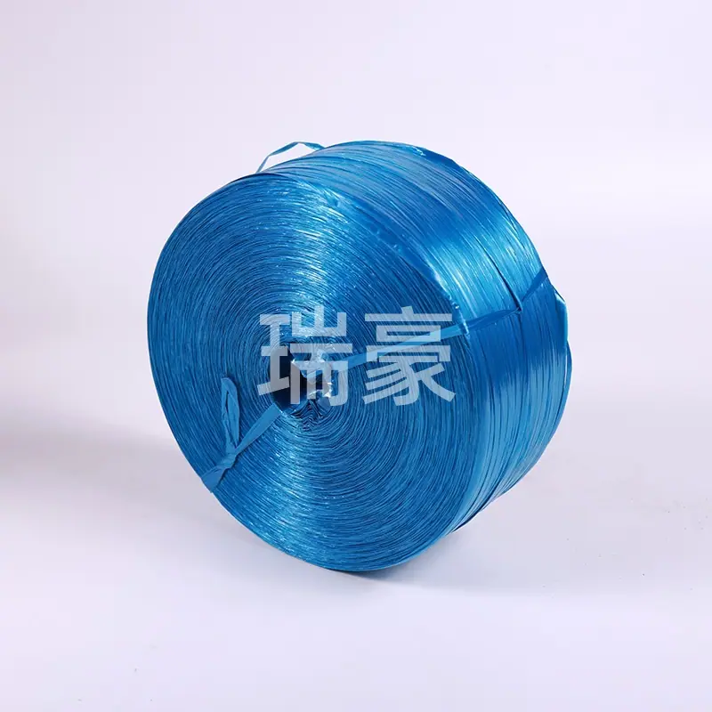 3T0A5445.JPG