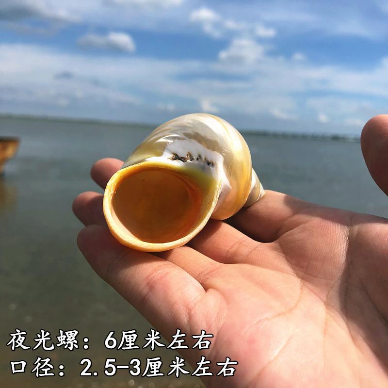 QQ图片20190901111605.jpg