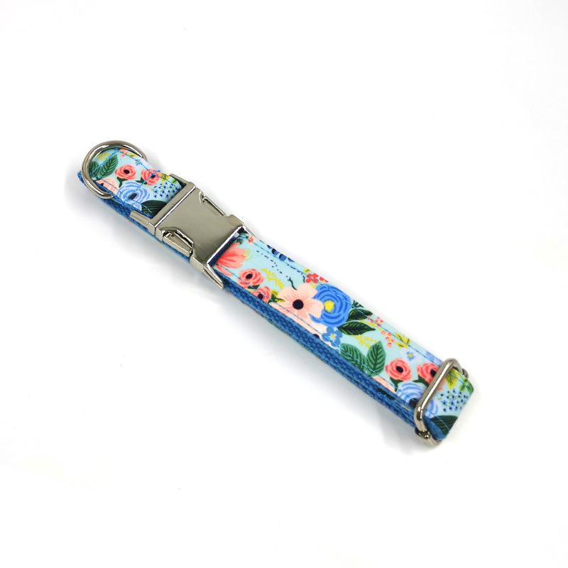 dog collar (36)