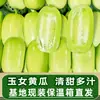 Pepino Fresco, Pepino Menina de Jade, Pepino Fruta, Pepino Fresco Sf do Tamanho de um Polegar, Pepino Vegetal Branco de Jade Seco do Nordeste