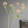 Plantas Verdes de Nicho, Fruto de Rícino, Bolas de Neve Mini de Plástico, Grãos de Arroz, Buquês Estilo Floresta Nórdica, Fruto de Rícino Artificial, Adereços de Fotografia