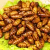 Crispy Larvas de Bicho-da-Seda Prontas para Comer Após Abrir Fritas com Cinco Especiarias Pequenas Larvas de Bicho-da-Seda Lanche Picante para Beber Especialidade de Shandong Lanche Alimentício Cozido Uso Comercial
