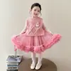 Conjunto de Vestido para Meninas Estilo Primavera e Outono 2026 Novo Suéter de Tricô Infantil Colete Vestido Princesa Conjunto de Duas Peças de Outono