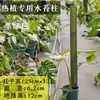 Pilar de musgo Sphagnum para pared, nuevo modelo 2026 para plantas tropicales, pilar de soporte para planta trepadora Monstera, se puede empalmar y extender para ajustar el tamaño