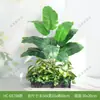 Combinación de paisajismo con plantas verdes artificiales, jardineras, maceteros, decoraciones de flores artificiales, decoración de paisaje con plantas artificiales para escaparates de centros comerciales, interior y exterior