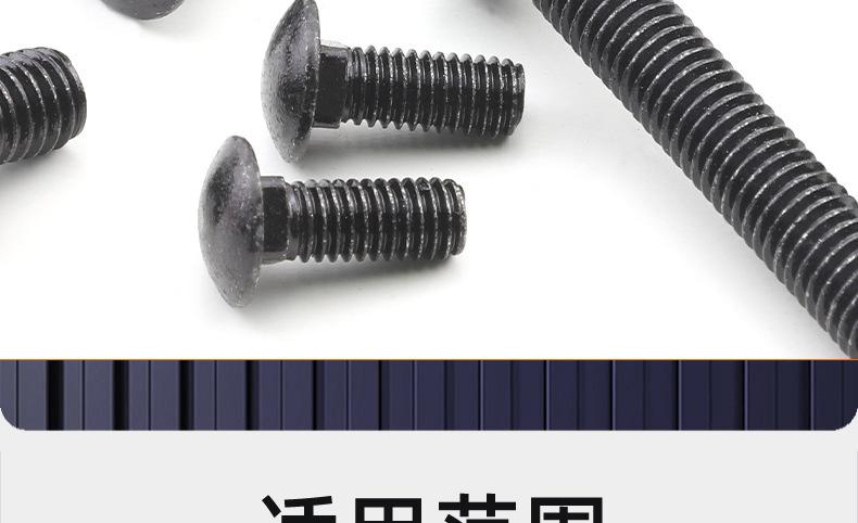 黑色304不锈钢马车螺栓_03_20.jpg