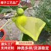 Sacos de Malha Branca para Frutas Uvas à Prova de Insetos e Translúcidos, Sacos de Rede à Prova de Insetos para Árvores Frutíferas, Sacos Anti-Pássaros para Frutas e Vegetais de Pomar