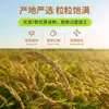 Fitness del Noreste comida de mezcla de siete colores de arroz integral alimento básico de grano entero arroz integral de siete colores gachas de ocho tesoros comida combinada de arroz nuevo reemplazo de comida