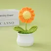 Día de San Valentín Maceta de Hilo de Margarita Hecha a Mano Combinada Producto Terminado como Regalo de Cumpleaños para Novia
