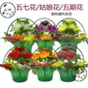 Cesta de Flores de Plástico Sacrificial, Flor de Mano, Lingote de Oro, Cuenco Grande de Oro de Plástico, Monedas de Oro, Funeral, Suministros para Funeral
