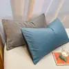 Fronha de Algodão Lavável de Verão Fronha de Flanela Espessa Cor Algodão INS 48*74cm Dormitório Estudantil Atacado