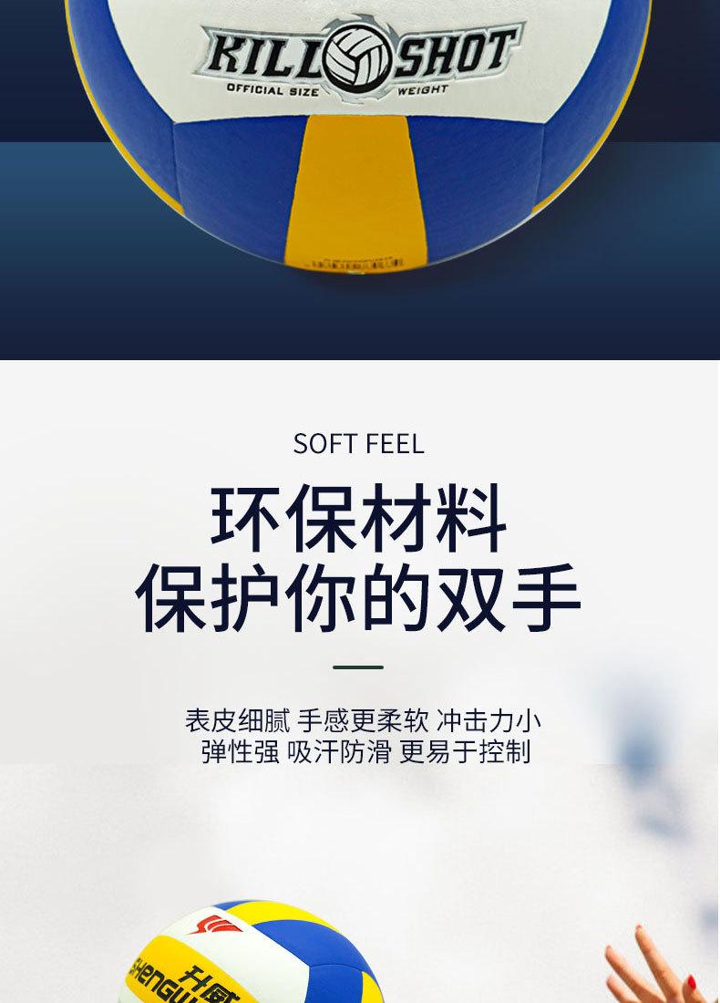 排球_04.jpg