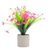 Amazon Plantas Artificiales Planta Verde Falsa Combinación en Maceta Adornos de Flores Falsas de Escritorio Flores Bonsái Pequeñas Flores de Hierba de Primavera para Exterior