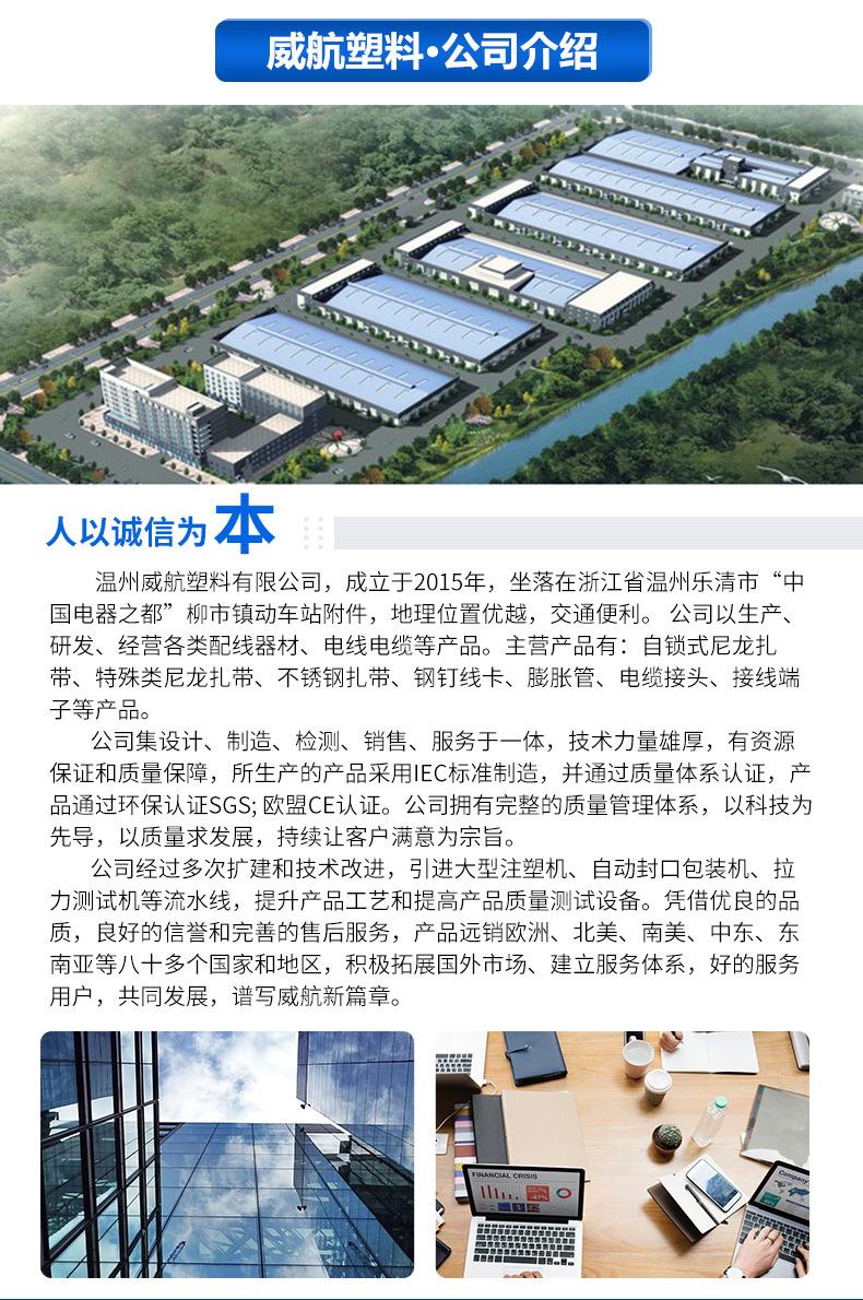 重拍3x200国标彩色尼龙扎带-2_13