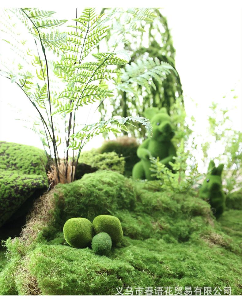 青丝草皮苔藓_04.jpg