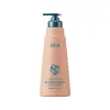 Champú Control de Grasa para Adolescentes Fuente OEM Personalización de Fábrica Refrescante Control de Grasa Eliminación de Caspa Voluminizador Mejora la Grasa y la Falta de Volumen