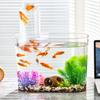 Acuario de Presión Negativa Suspendido de Escritorio Pequeño Acuario de Peces Dorados Sala de Estar Acuario de Plástico Hogar Micro Paisaje Tanque Ecológico