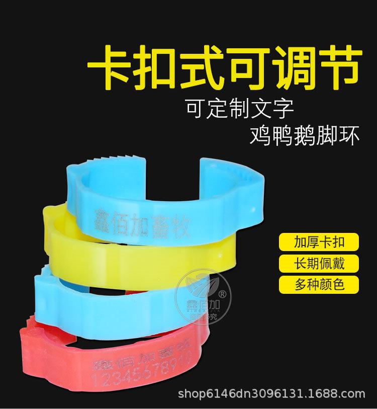 鸡脚环可调CA详情页 (1).jpg