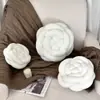 Almofada Decorativa Personalizada Flor Rosa Nórdica da Fábrica de Origem, Almofada Tecida à Mão Estilo Ins Nórdico, Sucesso Transfronteiriço na Amazon