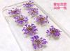 Atacado contas de neve flor renda flor estrela flor rosto maquiagem flor espécime de flor DIY artesanal flor epóxi manicure