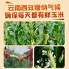 2,5kg de Milho do Tamanho de um Polegar de Xishuangbanna, Yunnan, Espigas de Mini Milho Frescas, Fragrantes e Glutinosas, Prontas para Comer, Café da Manhã Integral