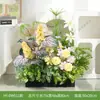 HY-DW5 Macetas florales artificiales, plantas verdes reales para decoración interior y exterior, restaurante, populares en redes sociales