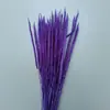 Flores Preservadas de Aster, Flores Secas, Adereços de Fotografia, Arranjos Florais Versáteis, Decorações para Sala de Estar e Escritório, Decorações de Casamento