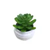 Decoraciones de plantas suculentas artificiales para interiores, oficina, adornos pequeños, plantas verdes, combinación de micro paisajismo, mobiliario con plantas en maceta