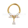 Pingente de liga de titânio F136 Brincos de argola para nariz Joias para piercing corporal de liga de titânio G23 Atacado de Piercings para Nariz