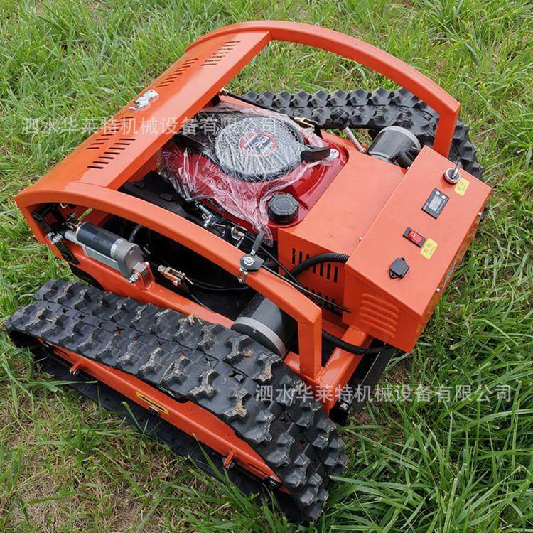 u=3934014181,2855579273&am