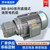 En Stock Nuevo Juego de Motor de Bomba Rotatoria Hierro Fundido Motor de Bomba de Aceite Bb-B40-Djz Dispositivo de Motor en Línea Su Zhong