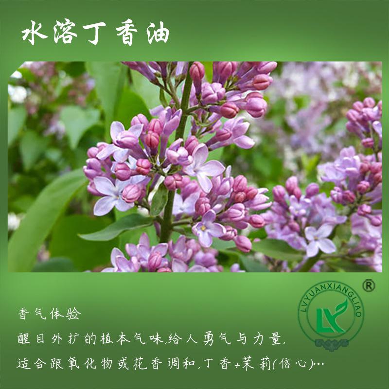 水溶丁香油