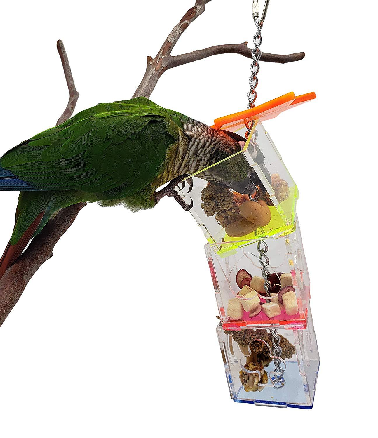 81OAnCd7BUL._SL1500_