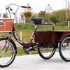 Nuevo Modelo de Triciclo para Personas de Mediana Edad y Mayores, Bicicleta Ligera Pequeña de Tres Ruedas con Pedales para Personas Mayores, Triciclo de Carga
