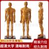 Modelo de acupuntura de cuerpo humano de color cobre de 85 cm, punto de acupuntura meridiano humano, medicina tradicional china, cuerpo entero, doce figuras de bronce, modelo de práctica