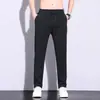 Pantalones de negocios versátiles de verano finos y rectos para hombre, transpirables, elásticos, resistentes a las arrugas, de seda helada, casuales para hombre