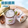 Fruta de Coco en Lata 6 Latas X 425g Caja Completa Fresca en Jarabe de Azúcar Merienda de Fruta en Lata para la Tarde para Niños y Comidas