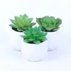 Mini simulación de flores carnosas en macetas, creativas, para bricolaje, para interiores, pequeñas decoraciones, flores de plástico, suministro de fabricantes ES1155-1