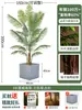 Palmera Areca Artificial Grande de Lujo de Gama Alta, Planta Verde, Árbol Falso, Planta de Bambú Cola de Fénix para Decoración de Paisajismo Tropical de Interiores