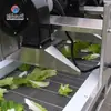 Línea de Producción para Limpieza de Frutas y Verduras, Eliminación de Agua, Secado al Aire y Empaquetado, Equipo de Secado al Aire, Maquinaria de Empaquetado, Limpieza con Burbujas, Película Caliente