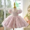 Vestido de Primeiro Aniversário para Menina Anfitriã Vestido de Princesa Infantil de Alta Qualidade Flor Rosa Daminha de Casamento Vestido para Performance de Piano de Menina