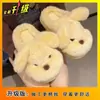 Zapatos de algodón de moda, cómodos y duraderos para mujer, nuevo modelo otoño e invierno 2026, adecuados para usar en casa y al aire libre, cálidos pantuflas de algodón con peluche de cachorro para mujer