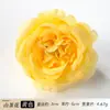 Flores artificiais vintage estilo francês de camélia multicoloridas para decorações de casamento, caixas de presente, acessórios e adereços de fotografia