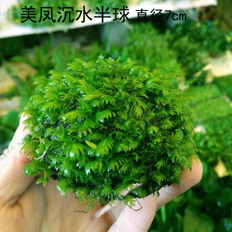 O1CN01AtZvGR1k5V47ele9w_!!3766