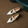 La primera colección de elegantes bailarinas de punta con tacón bajo de estilo francés para mujer, perfectas para el otoño de 2026, que ofrecen calzado cómodo de suela plana en un estilo de lujo ligero