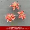 3 Flores de Lirio Simulación 3D Pequeño Libro Rojo Mismo recomendar Boda Decoración de Boda Flor Ventana Fotografía Paisaje