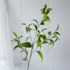 Plantas Verdes Simuladas, Hojas de Bambú Ricas, Diseño de Escena de Boda con Eucalipto, Decoración del Hogar, Venta al por Mayor Transfronteriza